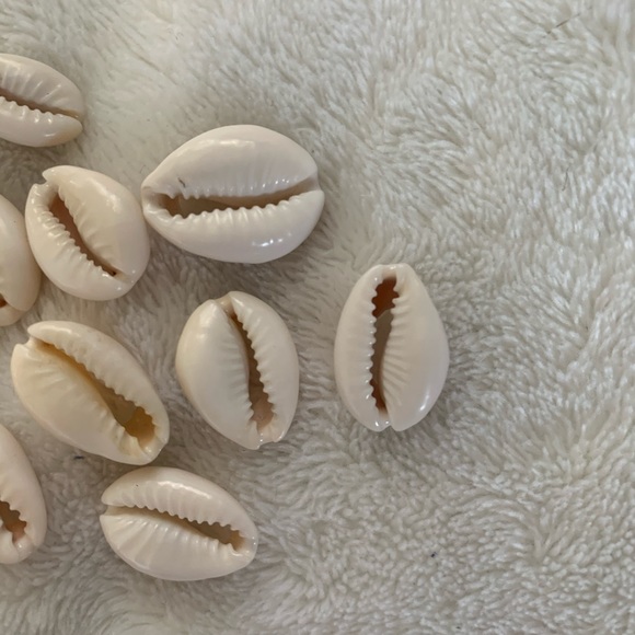 Shell beads - Picture 2 of 5